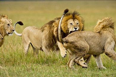 《装机模拟器》Fractal Design工作间DLC登陆Steam 售价26元